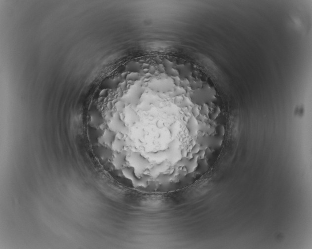 X0000114000377200910021322
