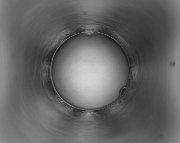 X0000114000379200910021322