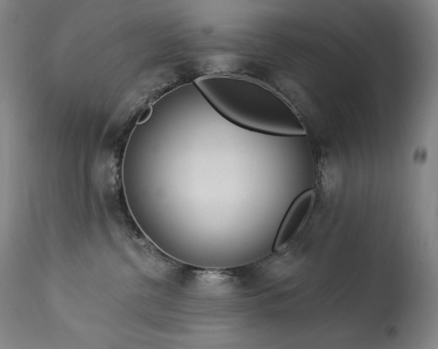 X0000114000380200910021322
