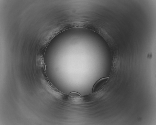 X0000114000383200910021322