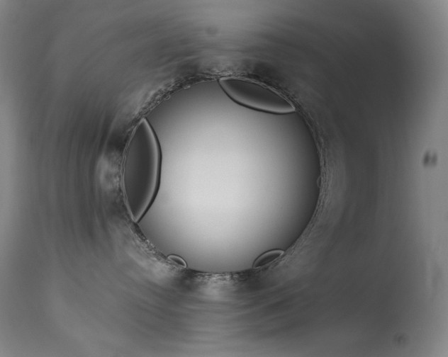 X0000114000384200910021322