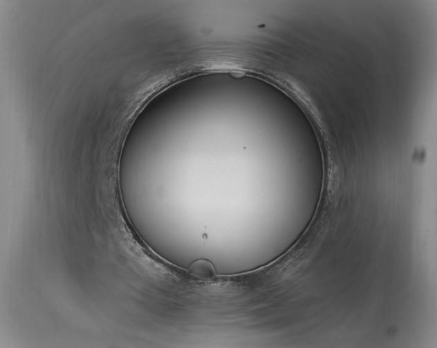 X0000114000385200910021321