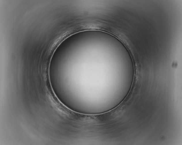 X0000114000386200910021321