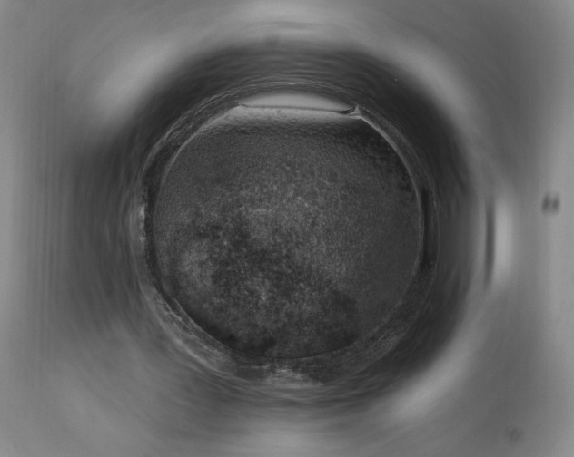 X0000114000387200910021321