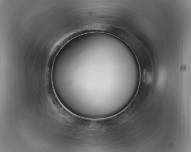 X0000114000388200910021321