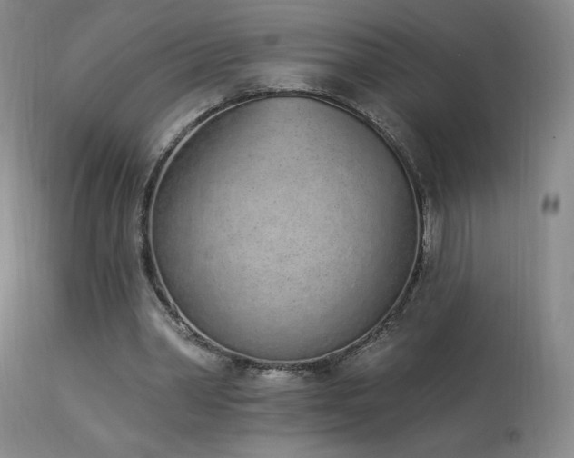 X0000114000390200910021321