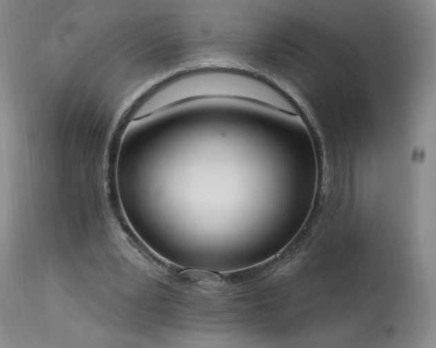 X0000114000391200910021321