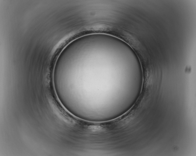 X0000114000392200910021321