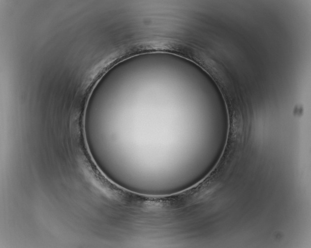 X0000114000394200910021321