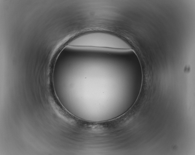 X0000114000395200910021321