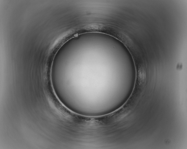 X0000114000396200910021321