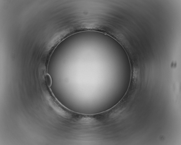 X0000114000397200910021321