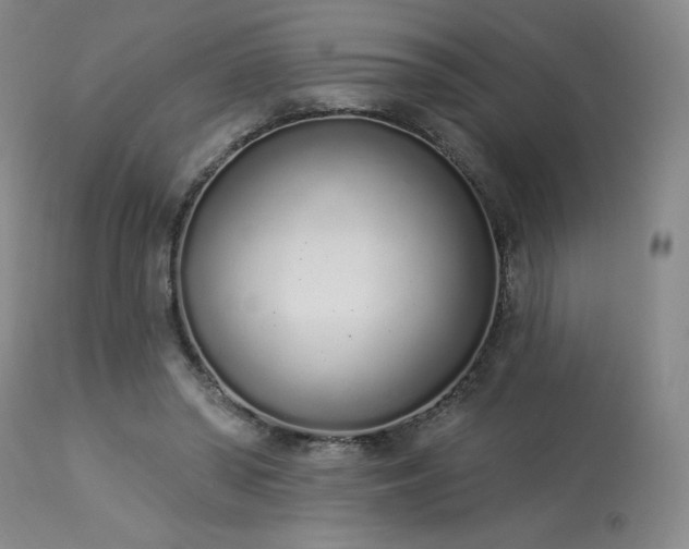 X0000114000398200910021321