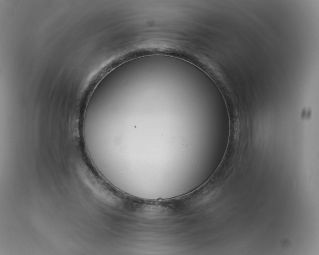X0000114000399200910021321