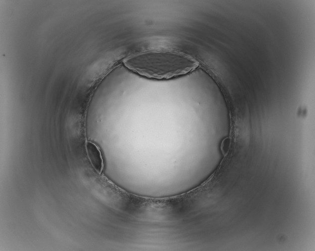 X0000114000401200910021321