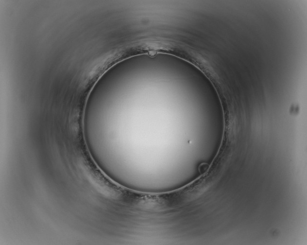 X0000114000402200910021321