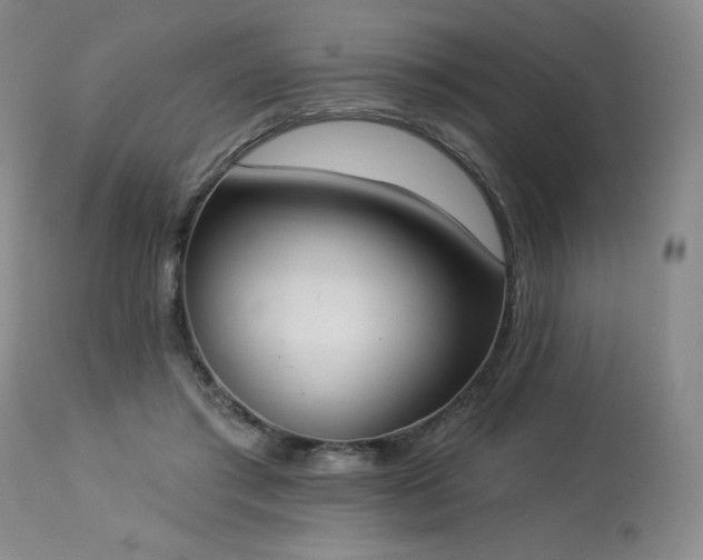 X0000114000405200910021321