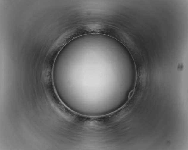 X0000114000408200910021321