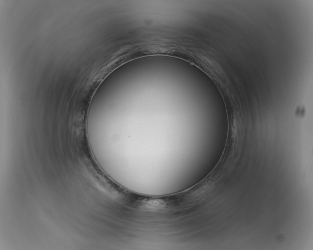 X0000114000409200910021321