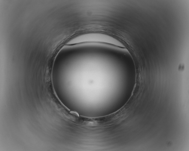 X0000114000411200910021321