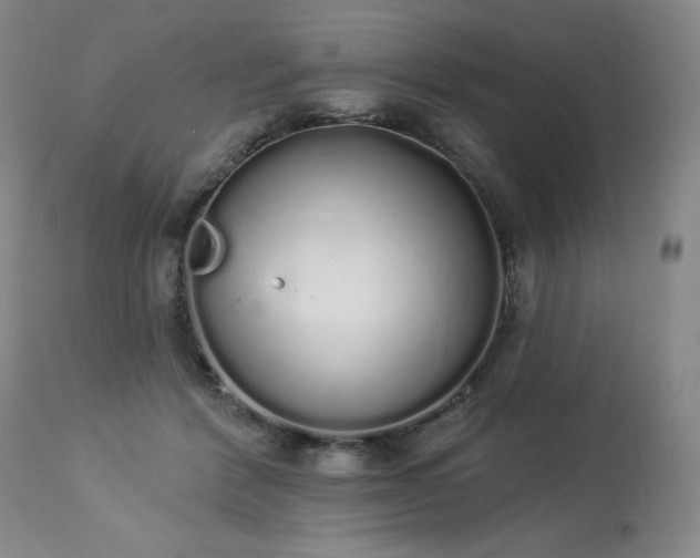 X0000114000412200910021321