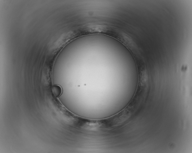 X0000114000414200910021321