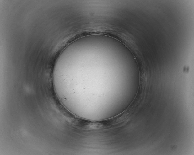 X0000114000415200910021321