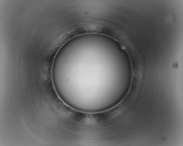 X0000114000416200910021321