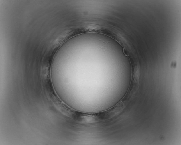 X0000114000417200910021321