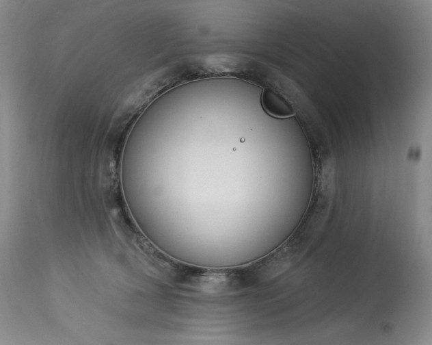 X0000114000418200910021321
