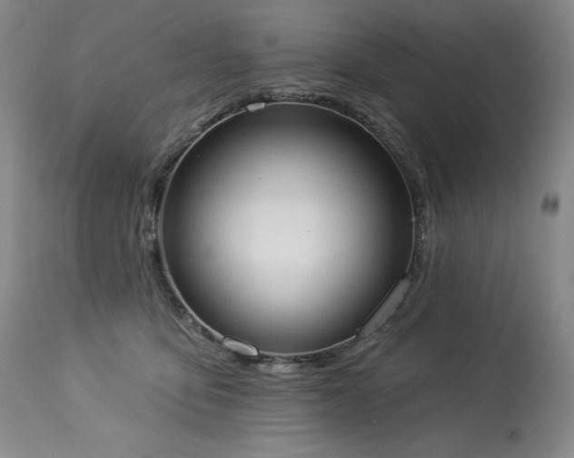 X0000114000419200910021321