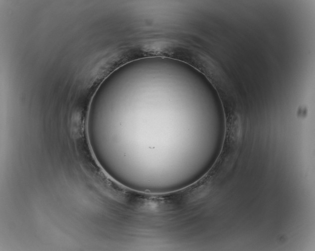 X0000114000420200910021321
