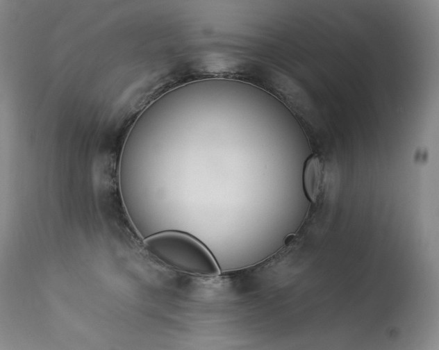 X0000114000421200910021321