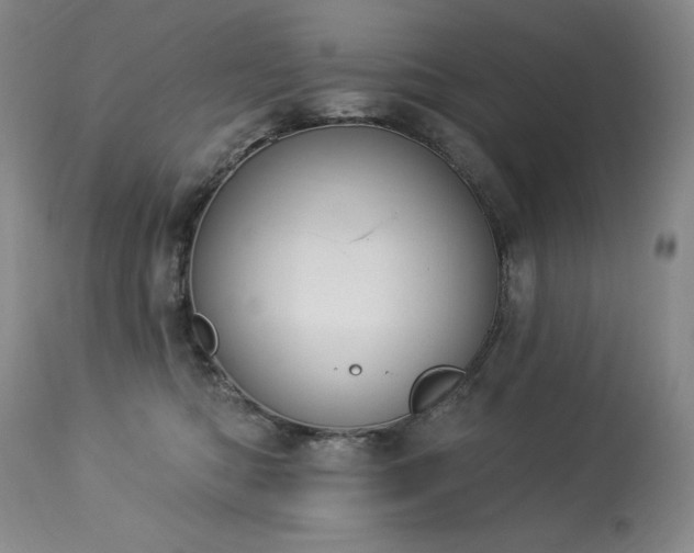 X0000114000422200910021321