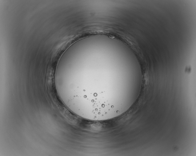 X0000114000423200910021321