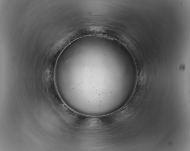 X0000114000424200910021321