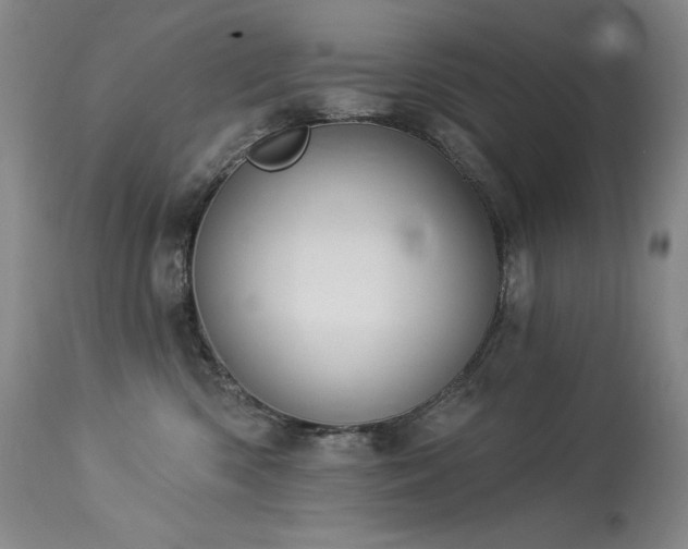 X0000114000426200910021321