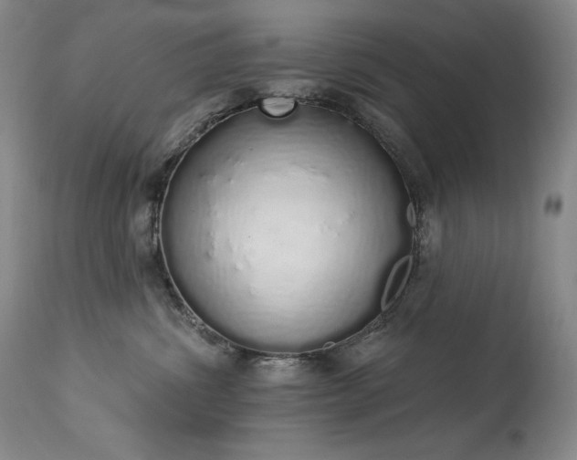 X0000114000428200910021321