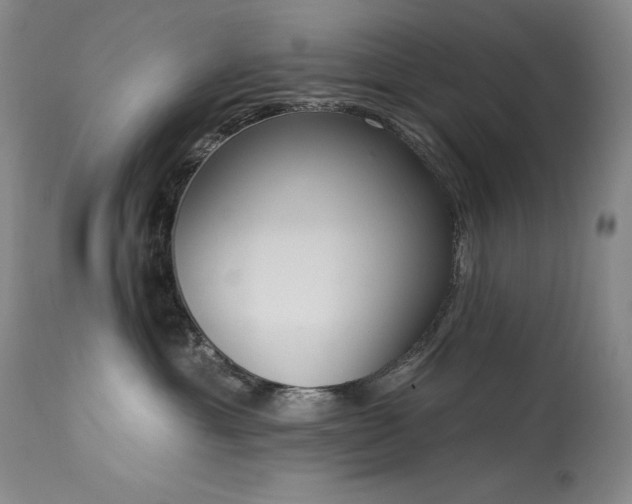 X0000114000429200910021321