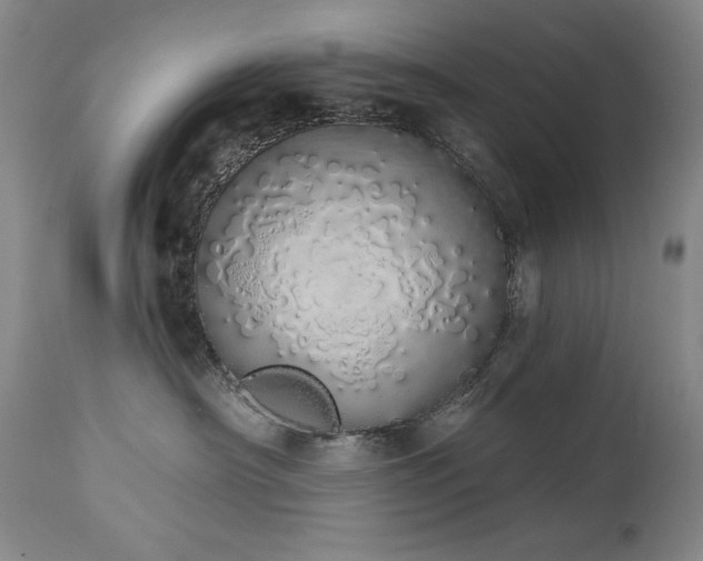 X0000114000430200910021321