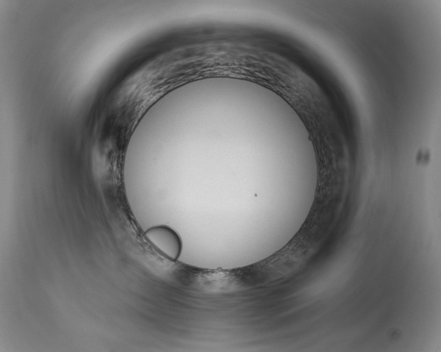 X0000114000431200910021321