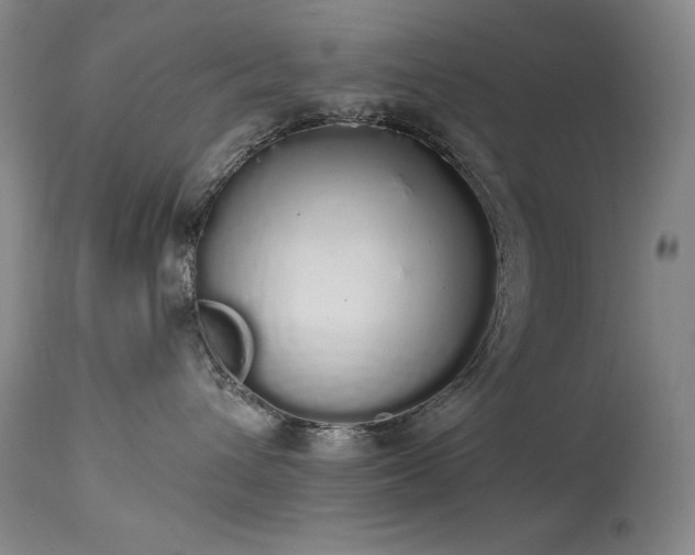 X0000114000432200910021321