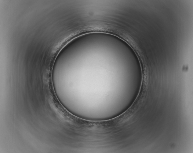 X0000114000434200910021320