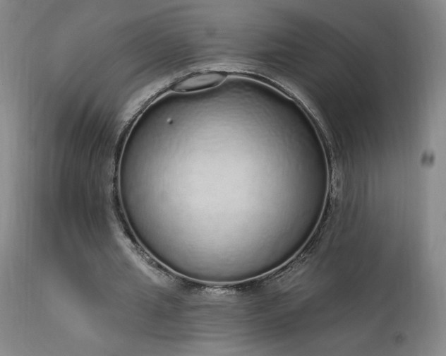 X0000114000437200910021320