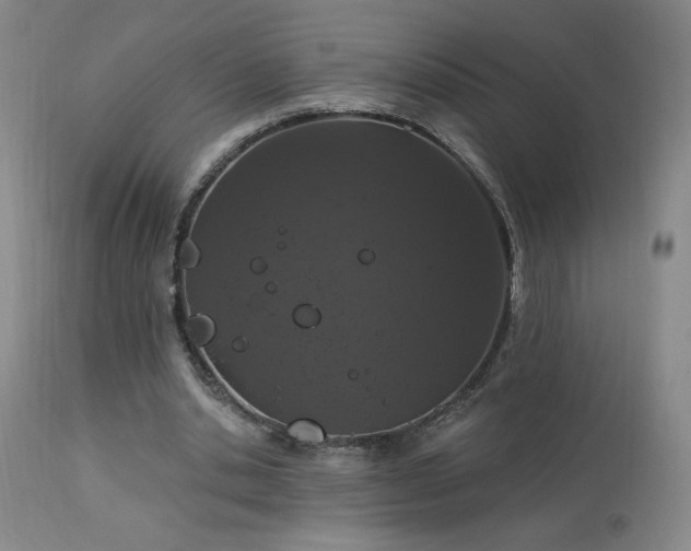 X0000114000438200910021320