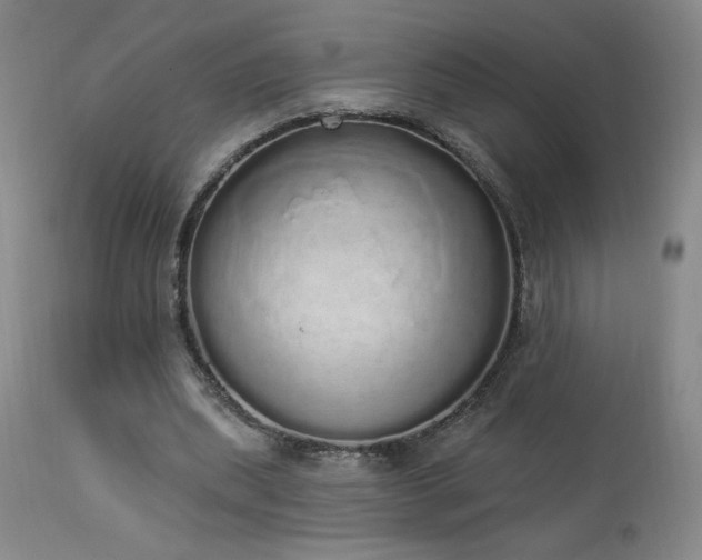 X0000114000439200910021320