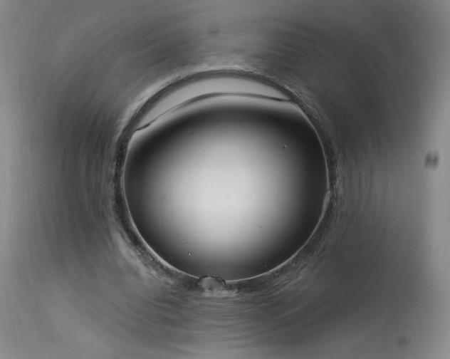 X0000114000440200910021320