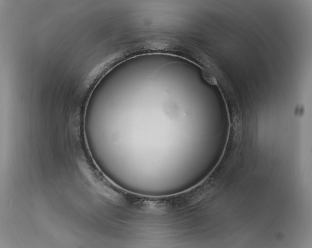 X0000114000442200910021320