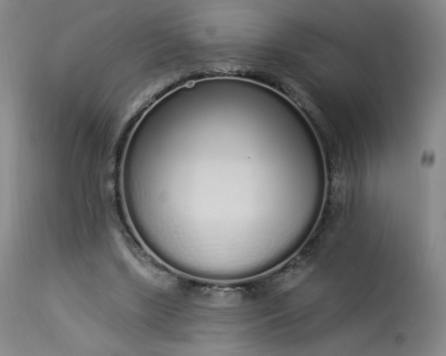 X0000114000443200910021320