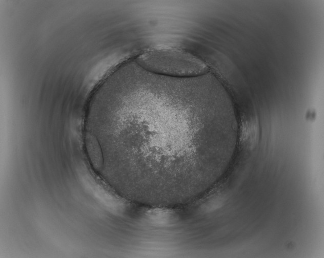 X0000114000444200910021320